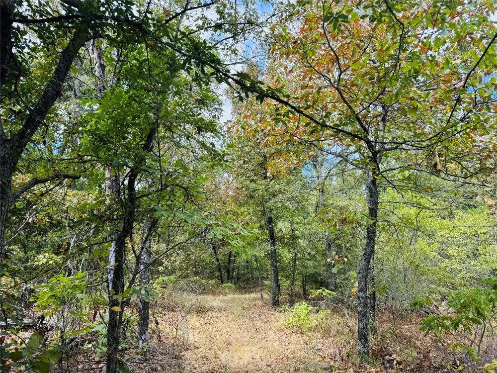 11825 NS Ns 3650 Road Wewoka, OK 74884