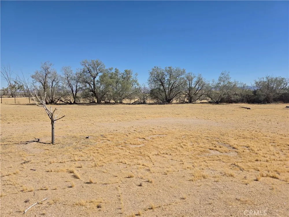 39070 Yucca Newberry Springs, CA 92398