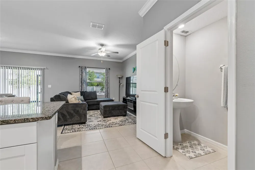 21851 LYONIA LANE Land O Lakes, FL 34637
