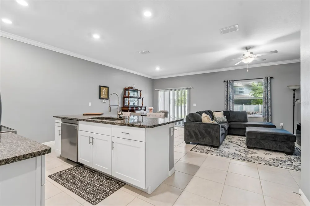 21851 LYONIA LANE Land O Lakes, FL 34637