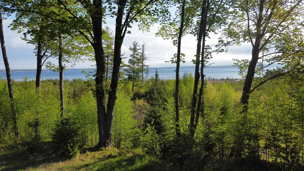 Robins Ridge Marion Township, MI 49720