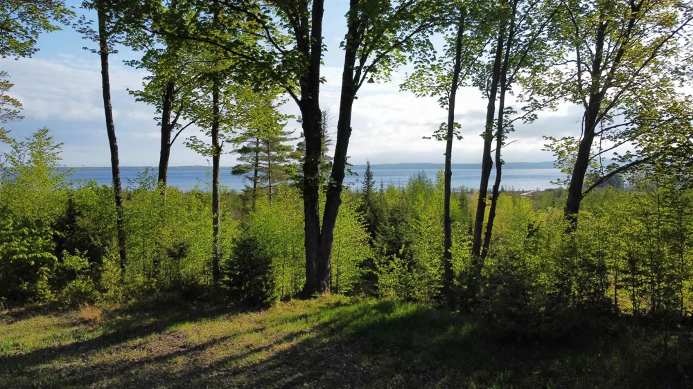 Robins Ridge Marion Township, MI 49720