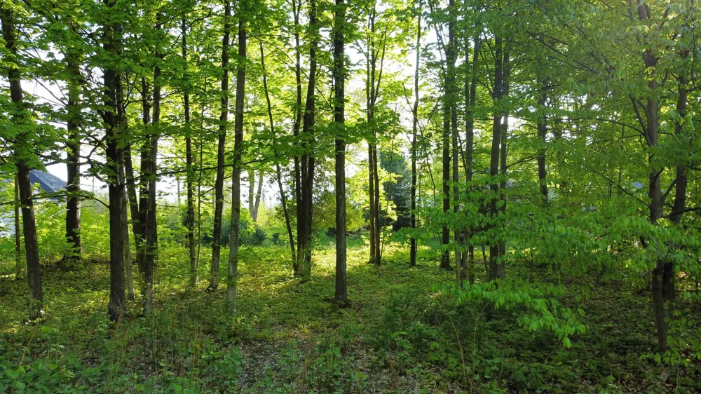 Robins Ridge Marion Township, MI 49720