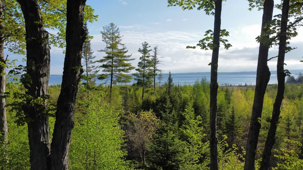 Robins Ridge Marion Township, MI 49720
