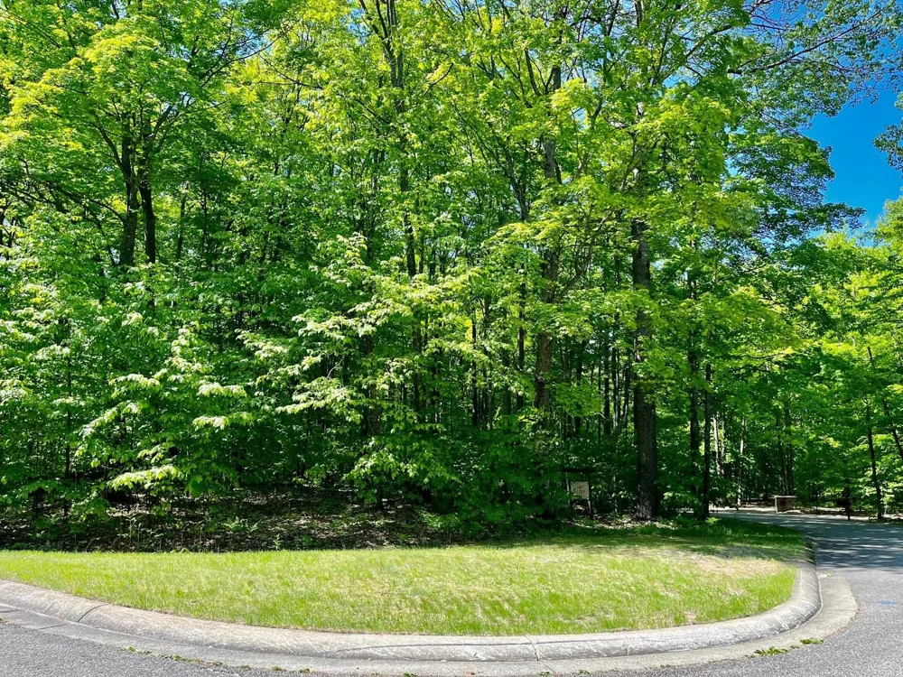 62 Valley Run Custer Township, MI 49615