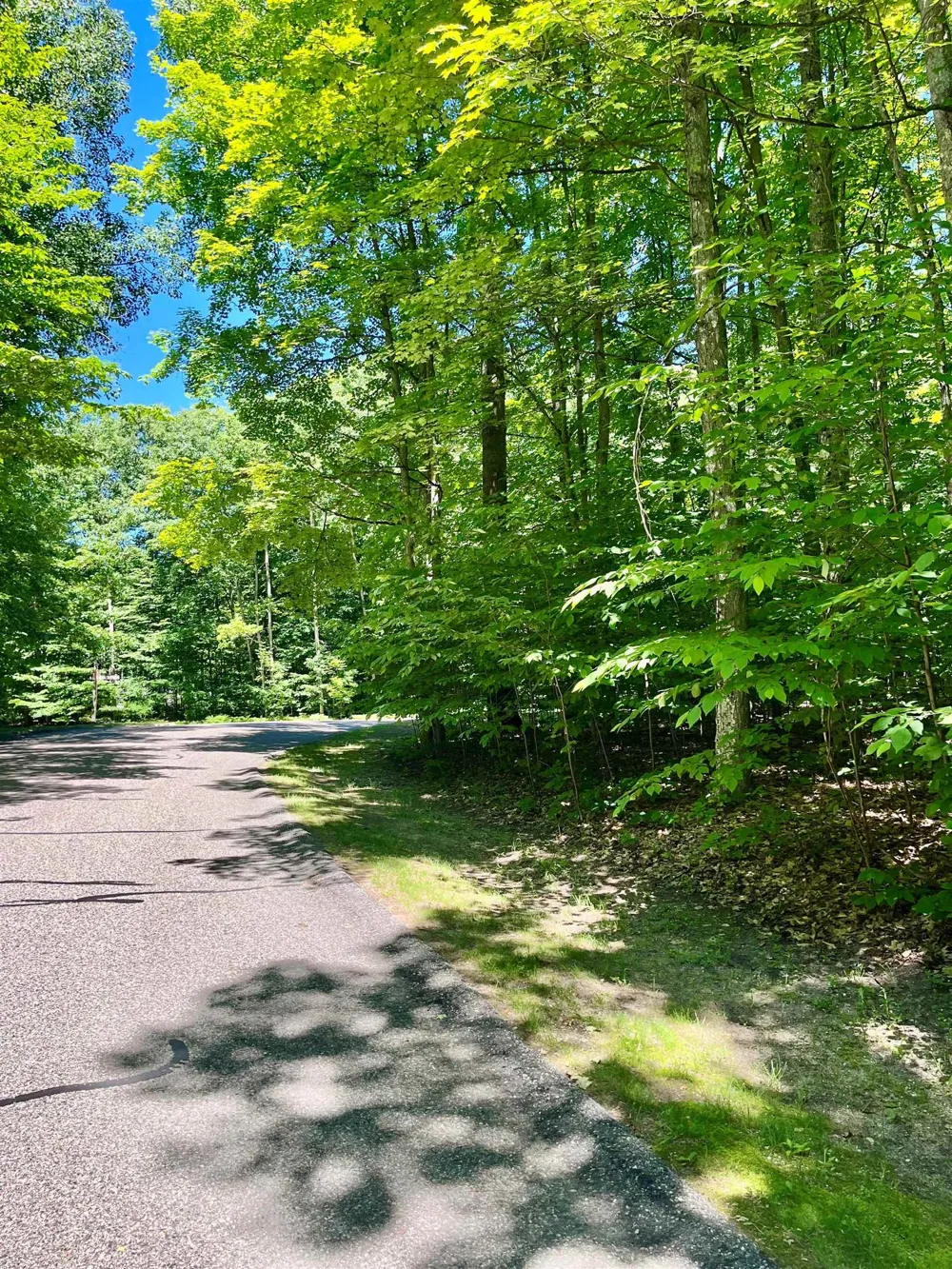62 Valley Run Custer Township, MI 49615
