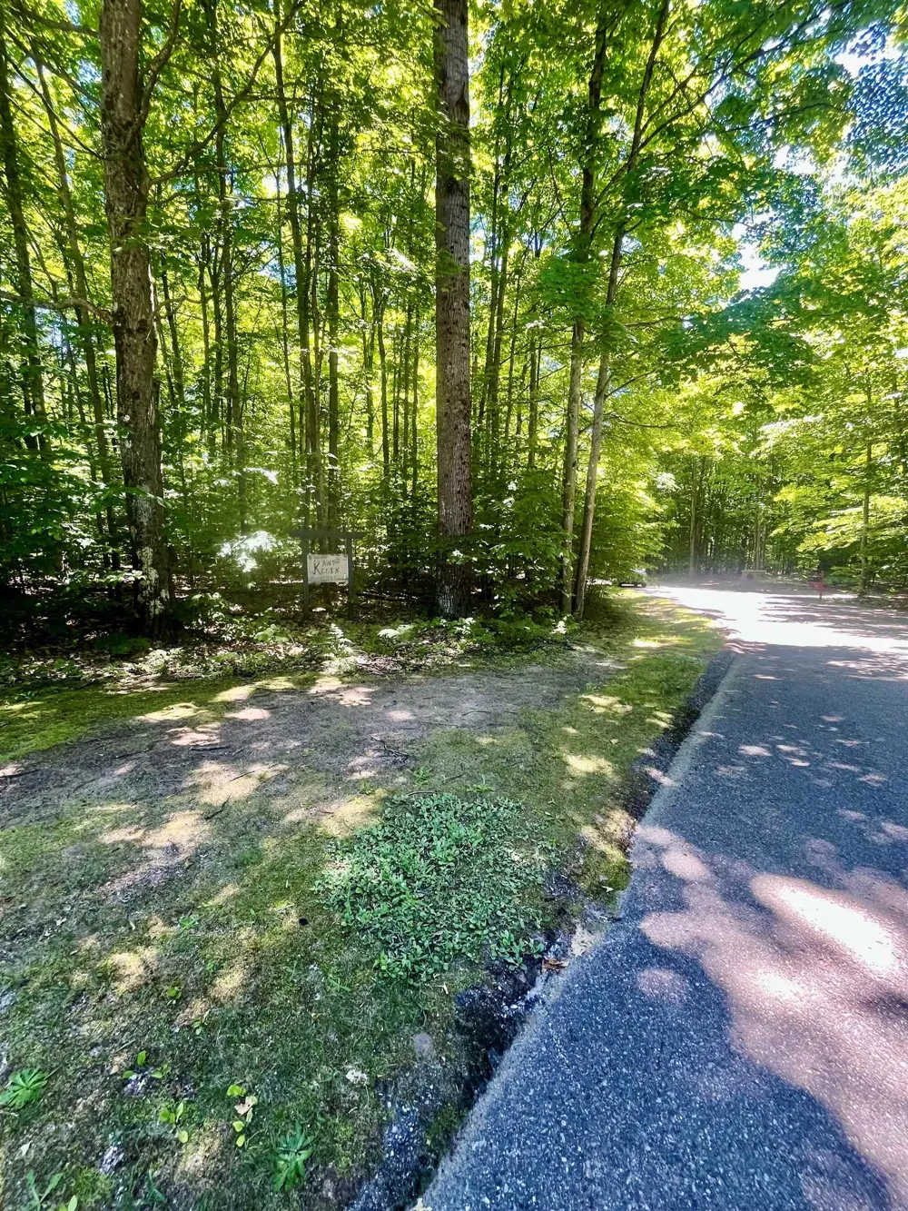 62 Valley Run Custer Township, MI 49615