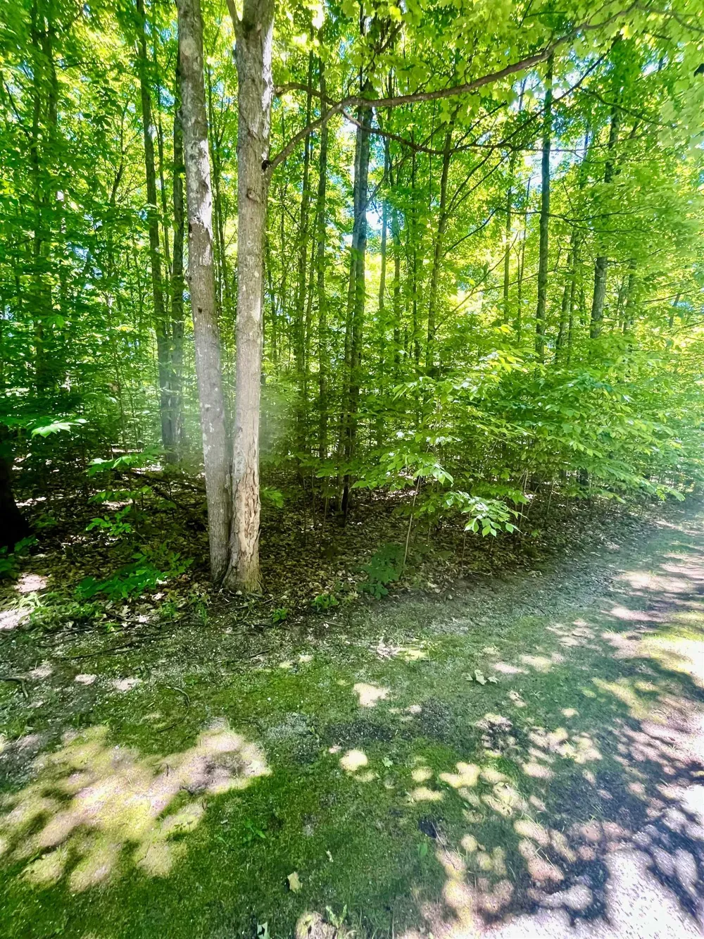 62 Valley Run Custer Township, MI 49615