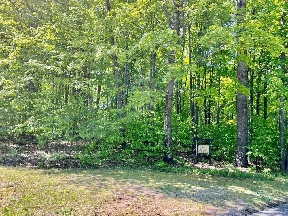 62 Valley Run Custer Township, MI 49615