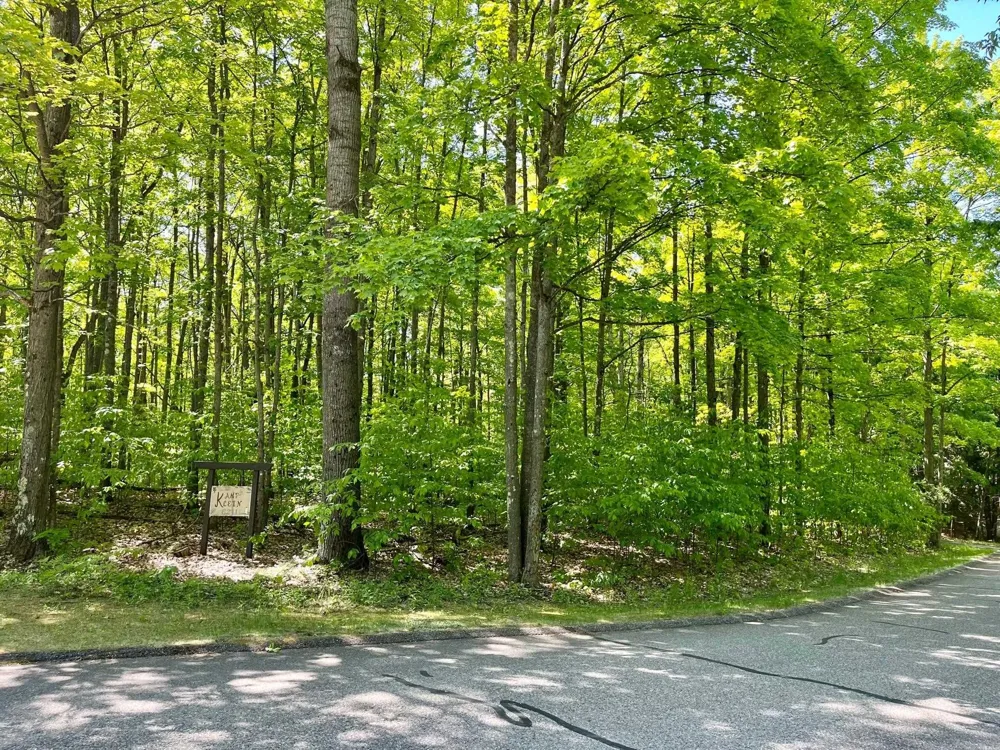 62 Valley Run Custer Township, MI 49615