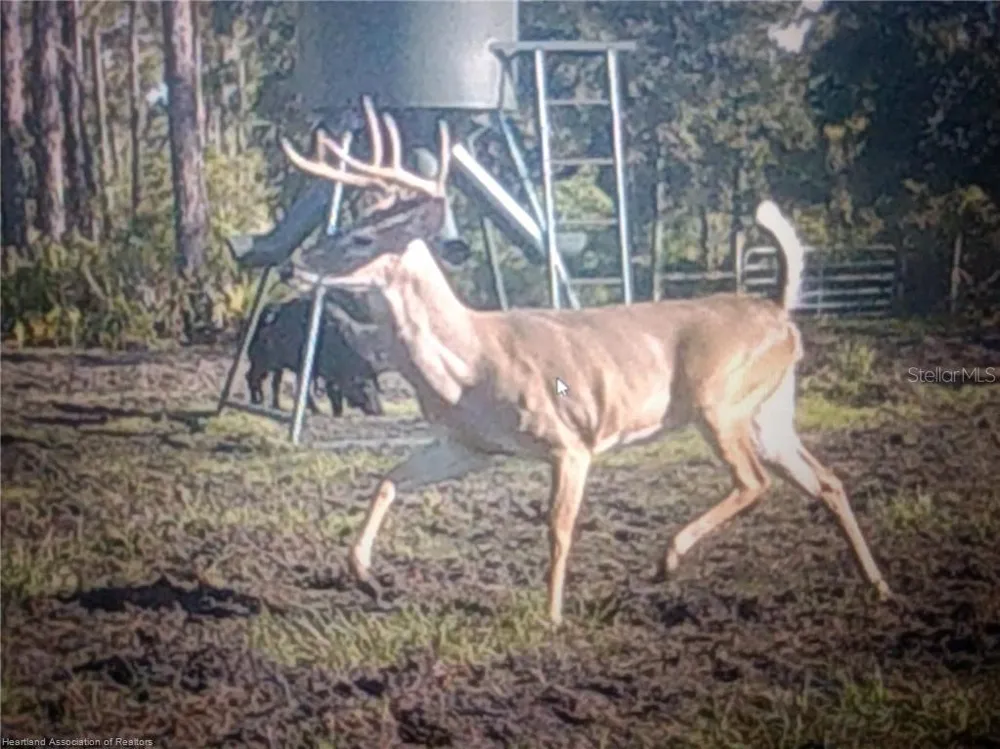 17470 COUNTY ROAD 731 Venus, FL 33960