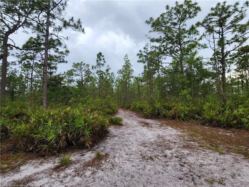17470 COUNTY ROAD 731 Venus, FL 33960
