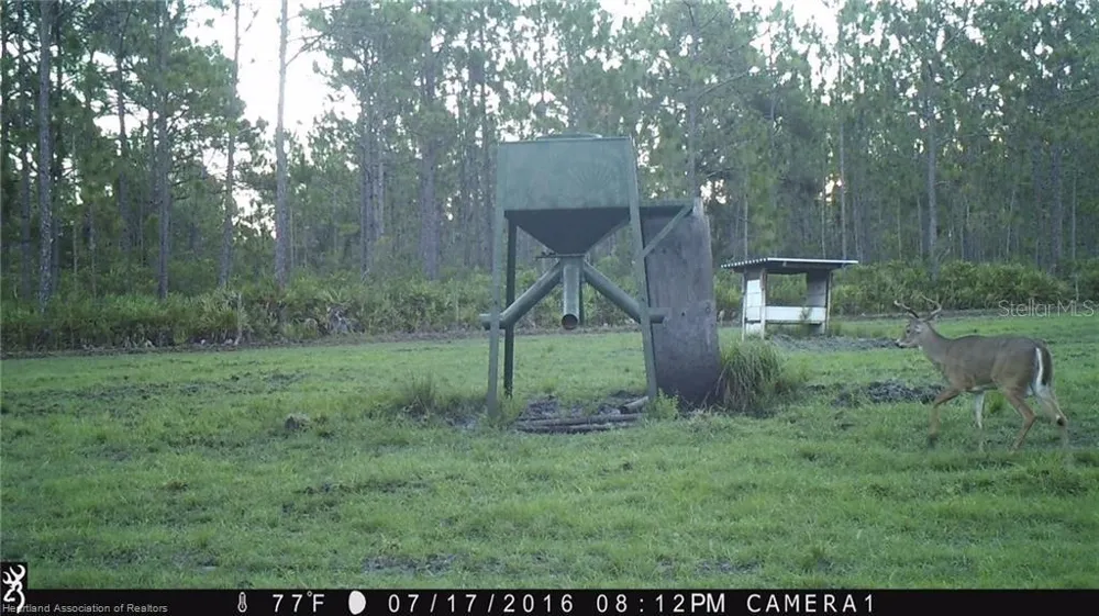 17470 COUNTY ROAD 731 Venus, FL 33960