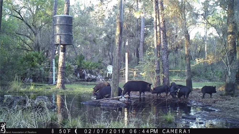 17470 COUNTY ROAD 731 Venus, FL 33960