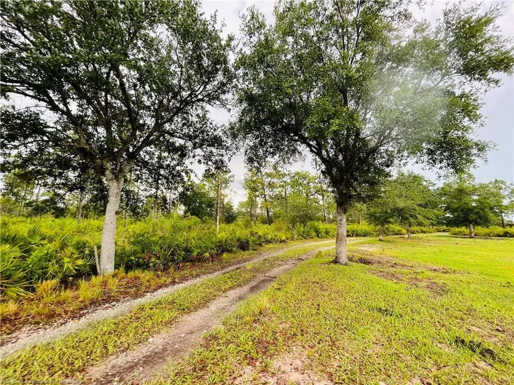 17470 COUNTY ROAD 731 Venus, FL 33960