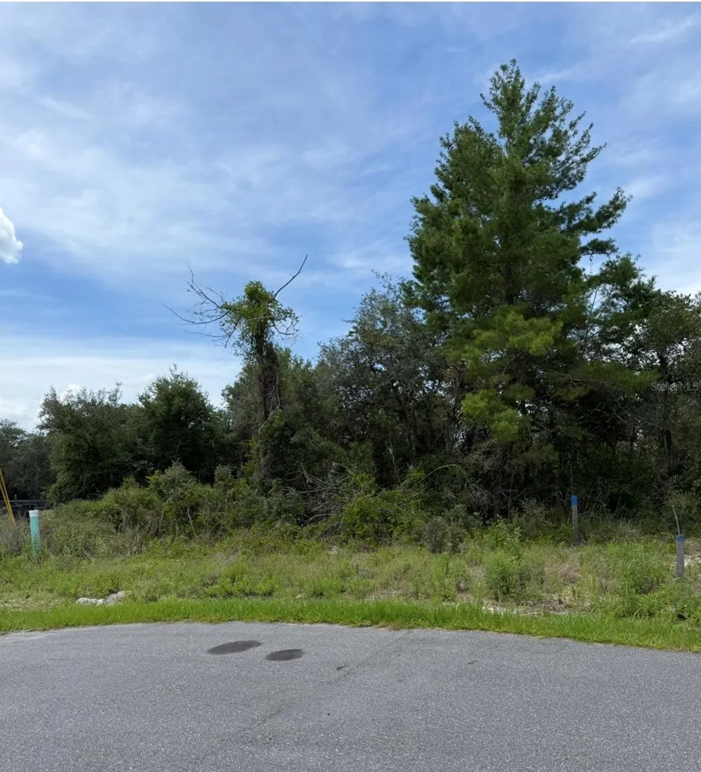 1205 WAVERLY PLACE Kissimmee, FL 34759