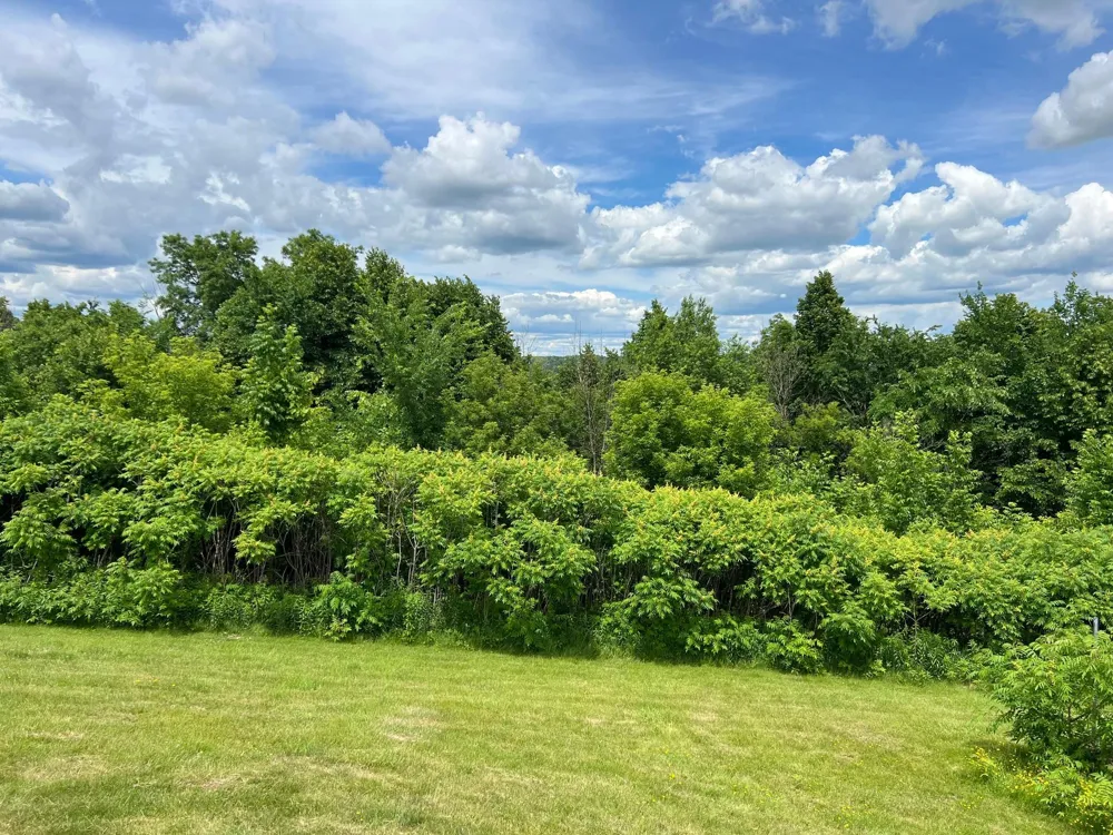 W8972 520th Avenue Ellsworth, WI 54011
