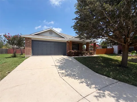 12816 Wooly Bucket Cove