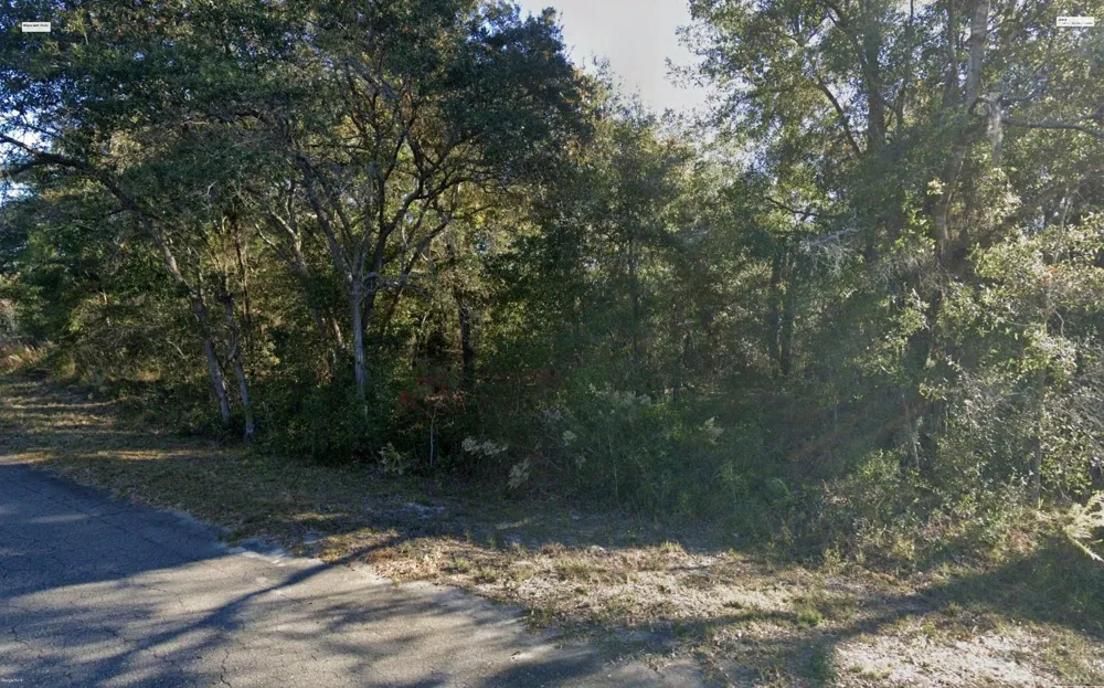 FISHER LANE PLACE Ocklawaha, FL 32179