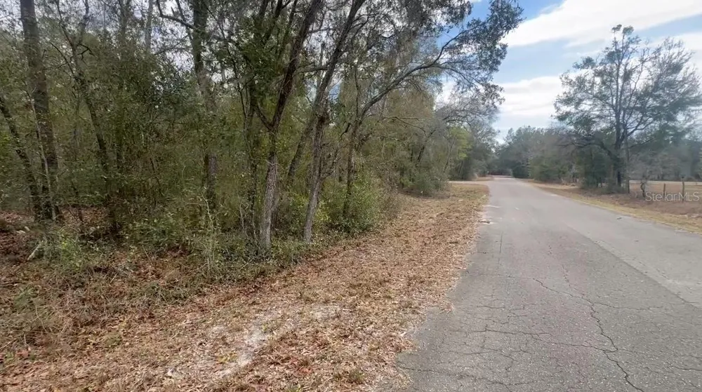 FISHER LANE PLACE Ocklawaha, FL 32179