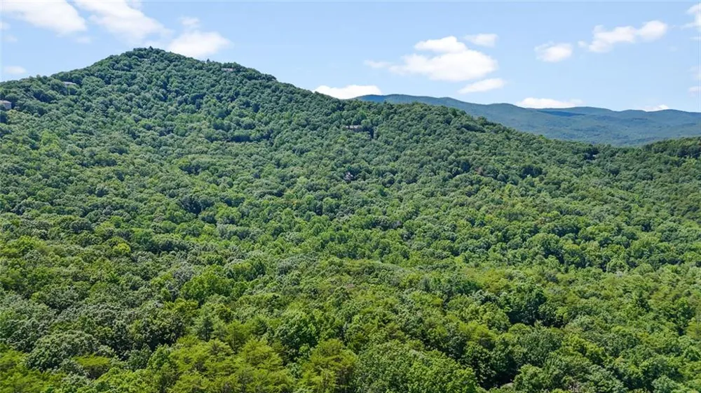 196 Cinnamon Fern Lane Big Canoe, GA 30143