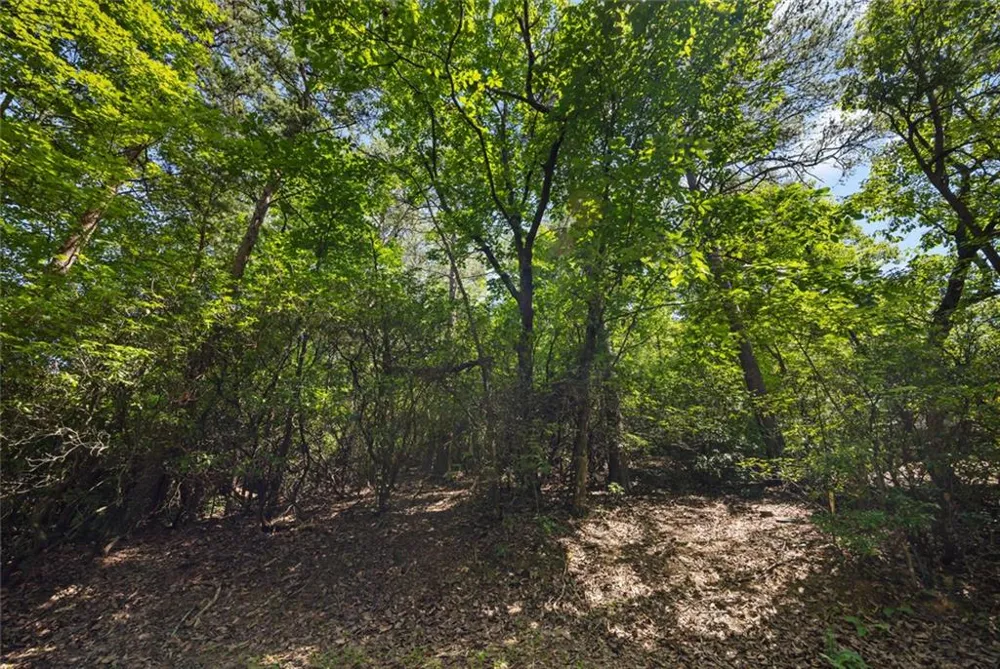 196 Cinnamon Fern Lane Big Canoe, GA 30143