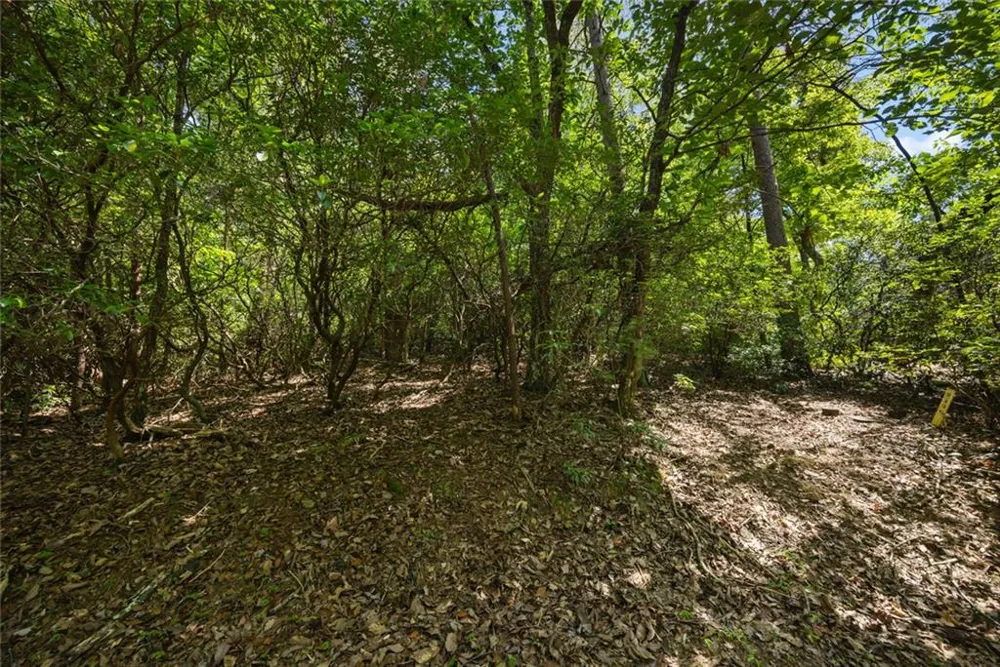 196 Cinnamon Fern Lane Big Canoe, GA 30143