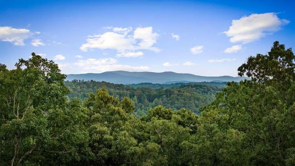 241 Wolf Creek Mountain Road Mineral Bluff, GA 30559
