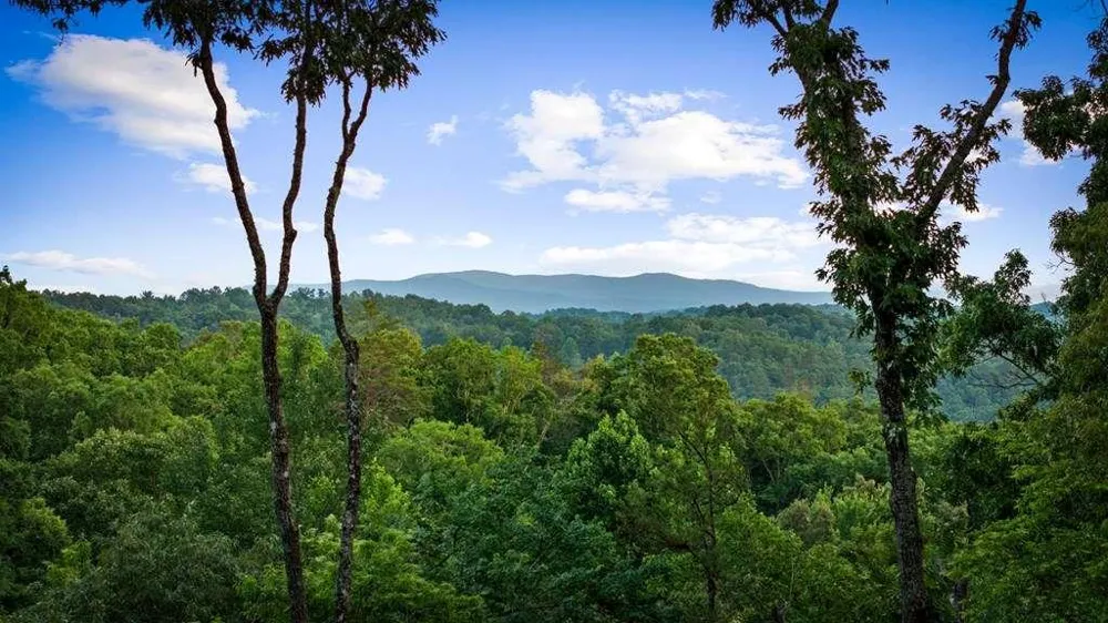 241 Wolf Creek Mountain Road Mineral Bluff, GA 30559