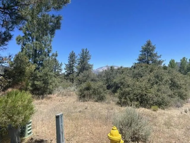 Devils Ladder Mountain Center, CA 92561