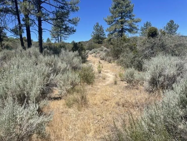 Devils Ladder Mountain Center, CA 92561