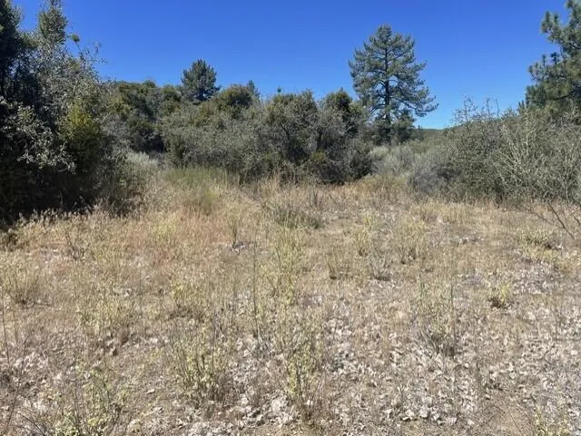 Devils Ladder Mountain Center, CA 92561