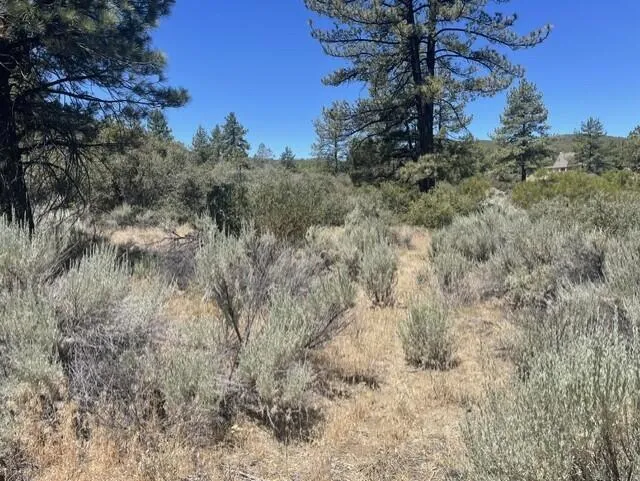 Devils Ladder Mountain Center, CA 92561