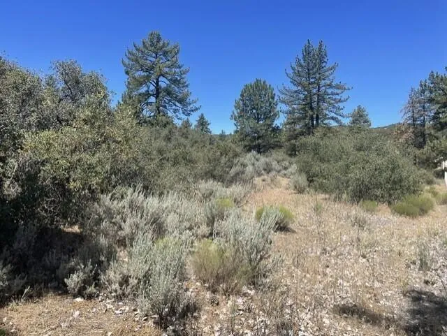 Devils Ladder Mountain Center, CA 92561