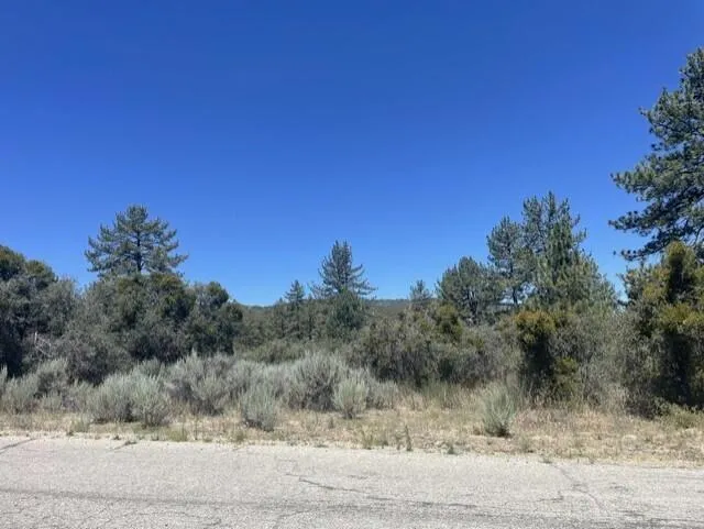 Devils Ladder Mountain Center, CA 92561