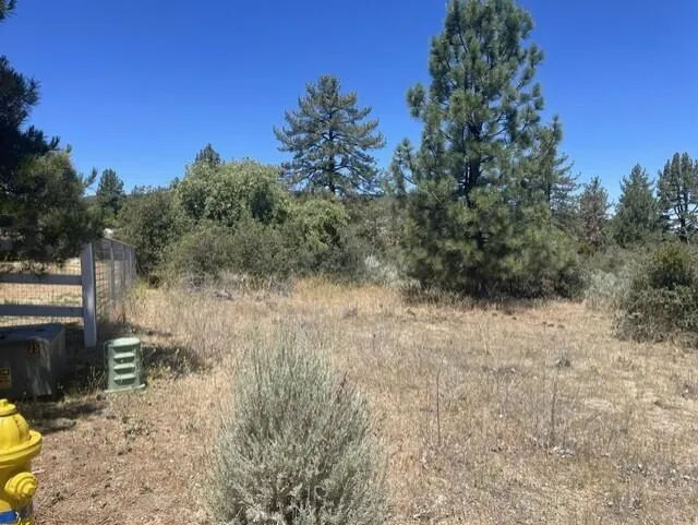 Devils Ladder Mountain Center, CA 92561
