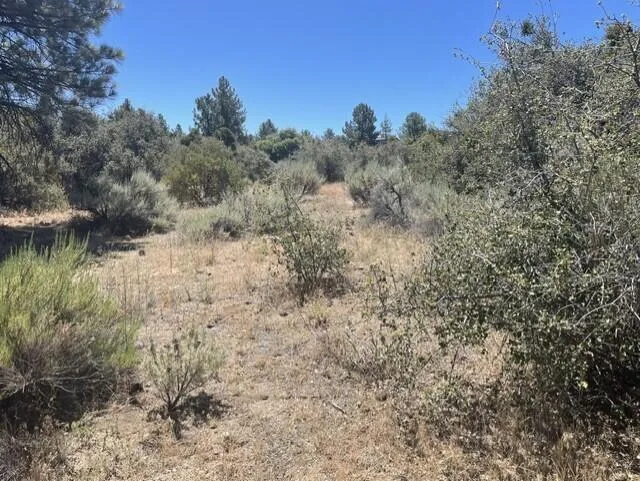 Devils Ladder Mountain Center, CA 92561