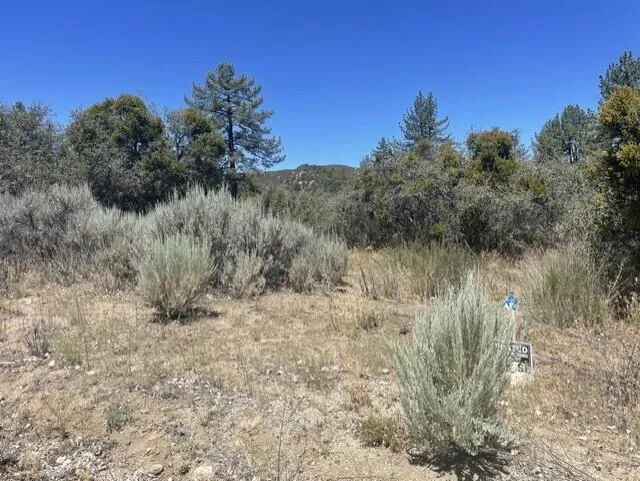 Devils Ladder Mountain Center, CA 92561