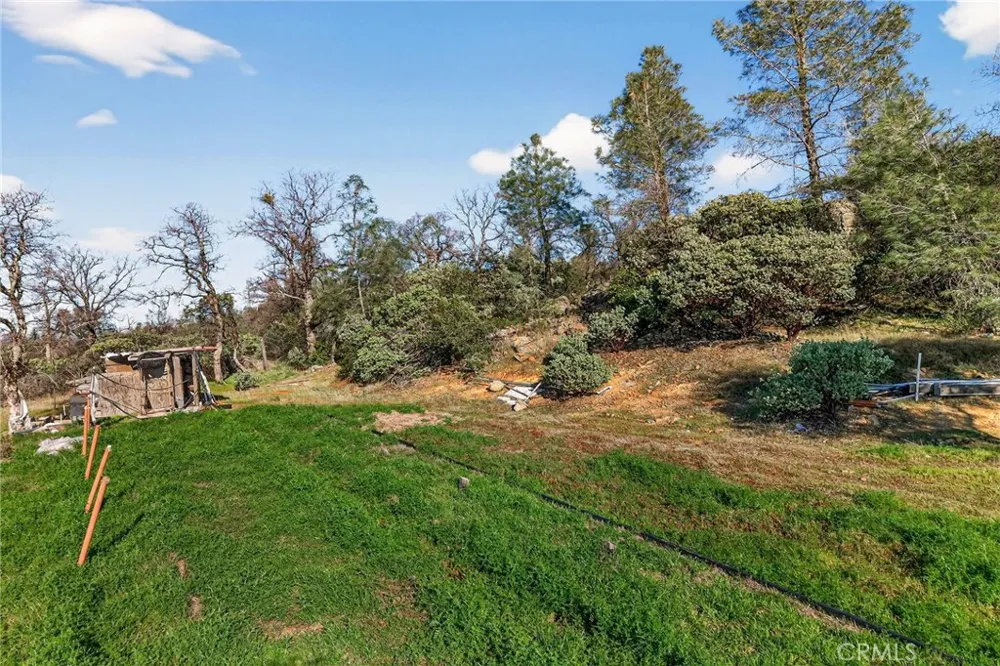 317 Sandra Oroville, CA 95966