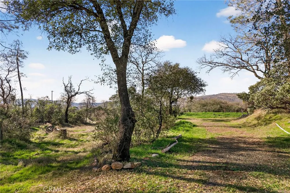 317 Sandra Oroville, CA 95966