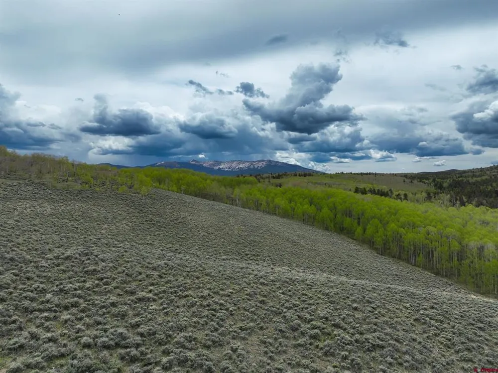 18222 County Road 743 Gunnison, CO 81230