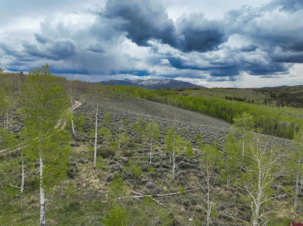 18222 County Road 743 Gunnison, CO 81230