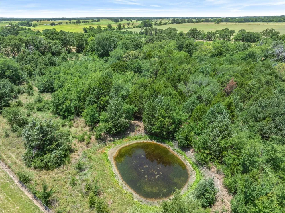 VZ County Road 2432 Canton, TX 75103