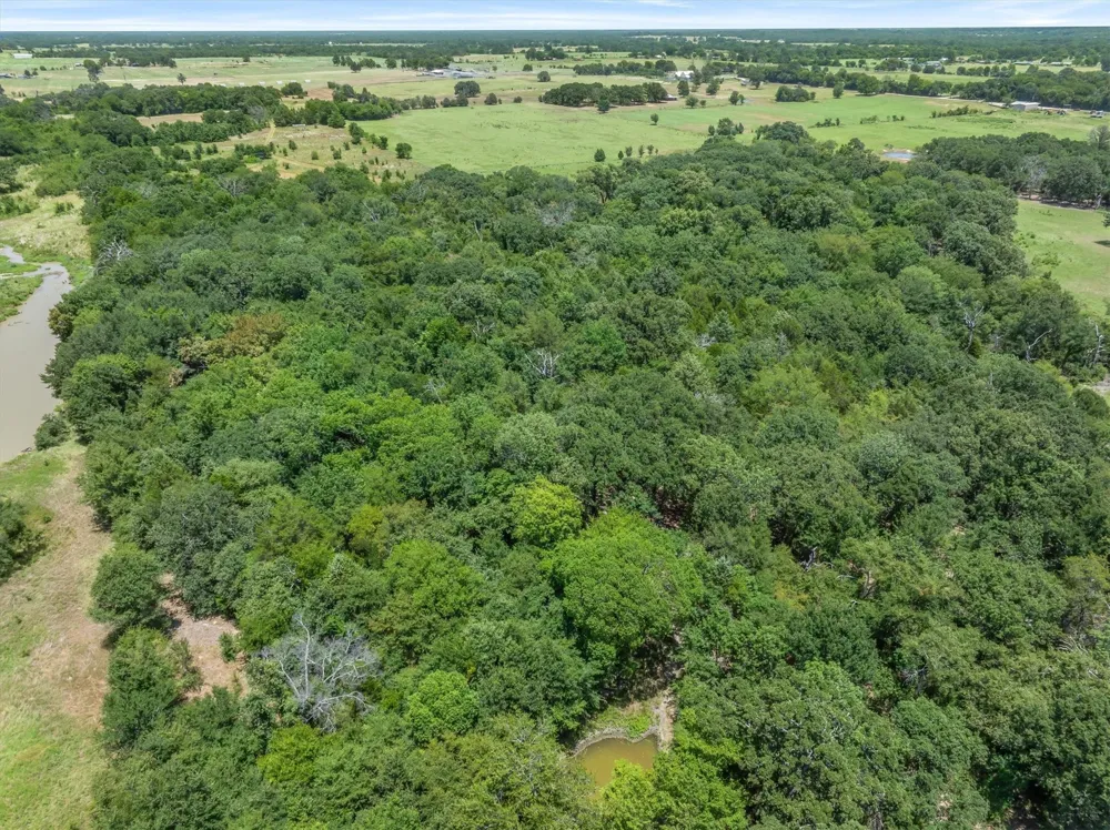 VZ County Road 2432 Canton, TX 75103