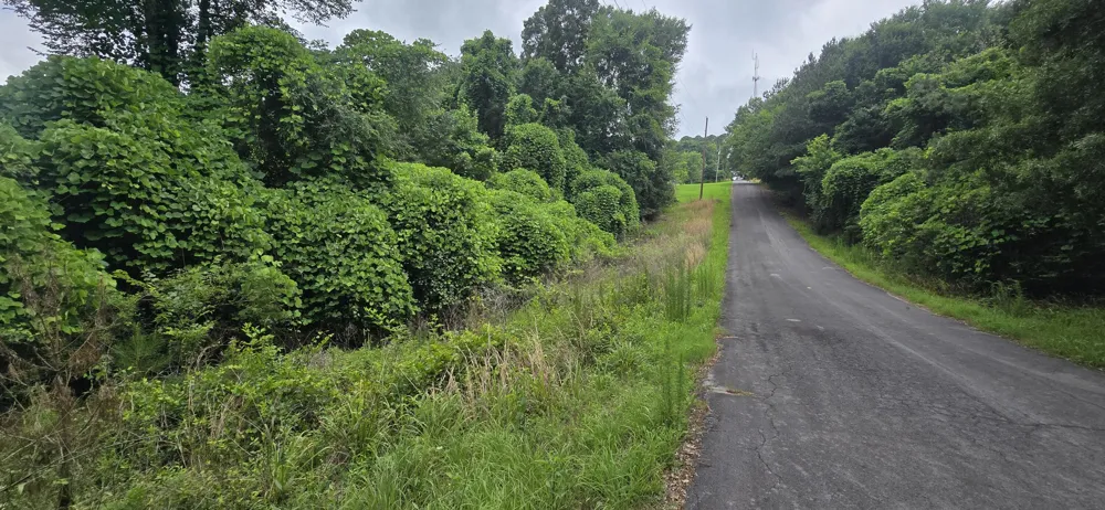 Valley Road SW Cave Spring, GA 30124