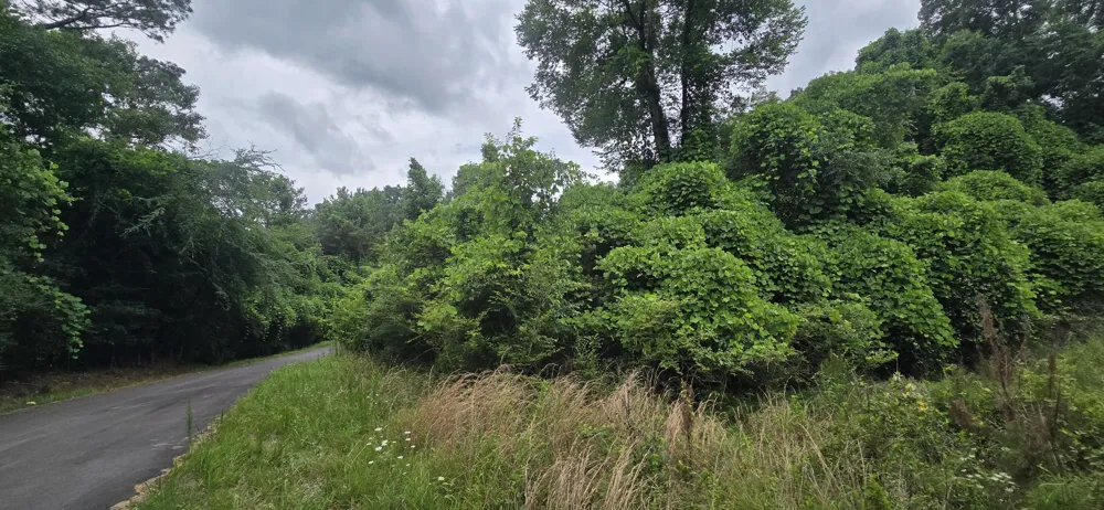 Valley Road SW Cave Spring, GA 30124