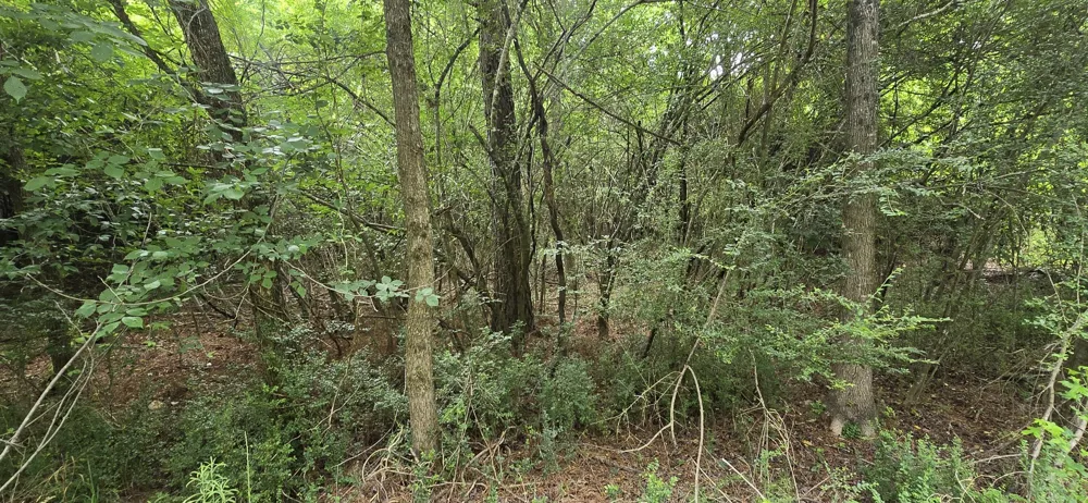 Valley Road SW Cave Spring, GA 30124