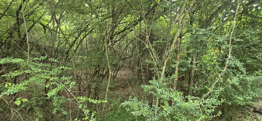 Valley Road SW Cave Spring, GA 30124