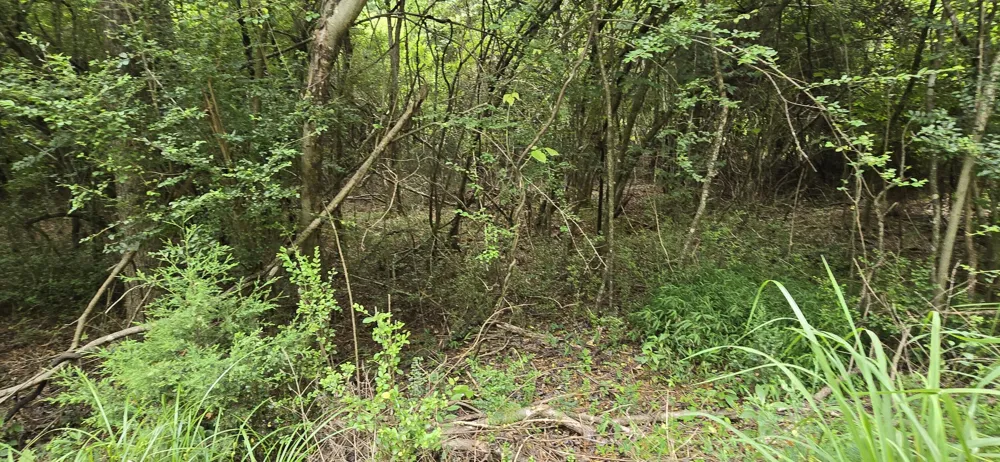 Valley Road SW Cave Spring, GA 30124