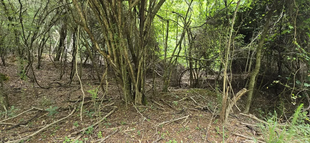 Valley Road SW Cave Spring, GA 30124